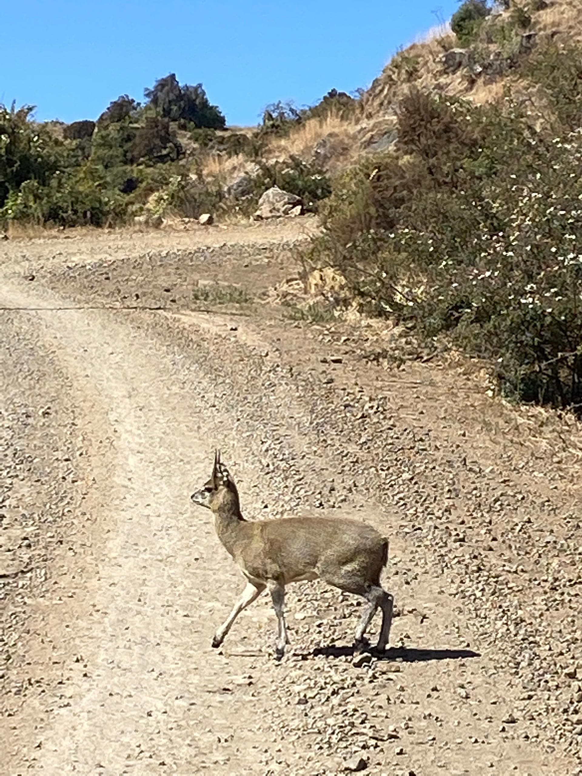 Tribal Traditions cultural experience 5